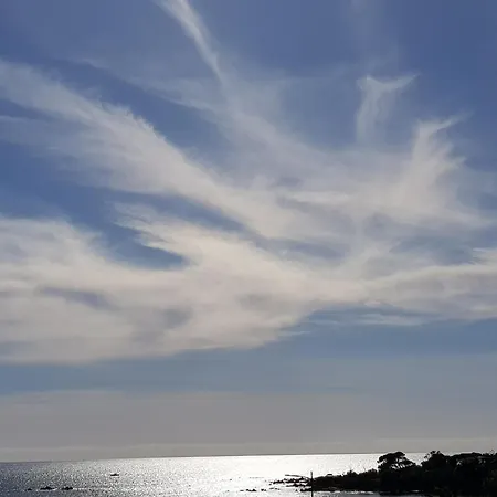 Lejlighed Vieille D De 1 A 4 Pers A 300m Du Port Et A 15 Mn De Laeroport Proches De Belles Plages Et Ttes Commodites A Proximite Ajaccio (Corsica)